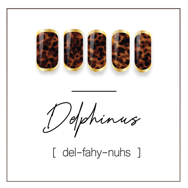 Delphinus  | UV Wrap